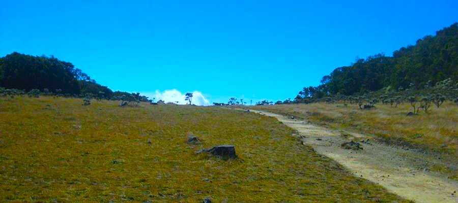 image_1